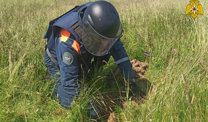 В Андреапольском округе нашли 13 боеприпасов времён войны