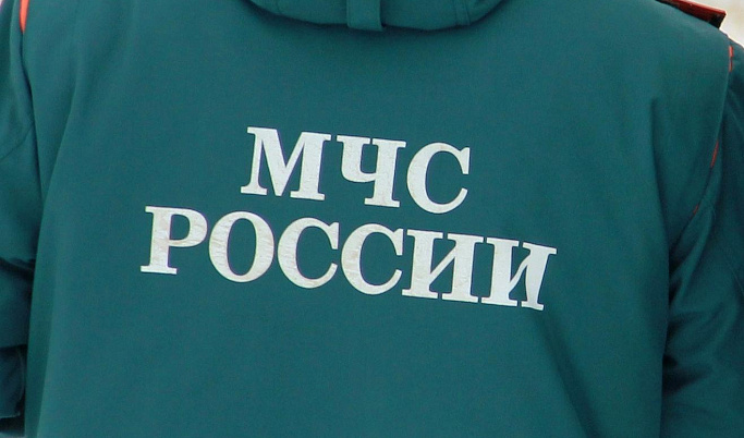 Рядом с поселком Зубцовского округа нашли 59 артиллерийских снарядов