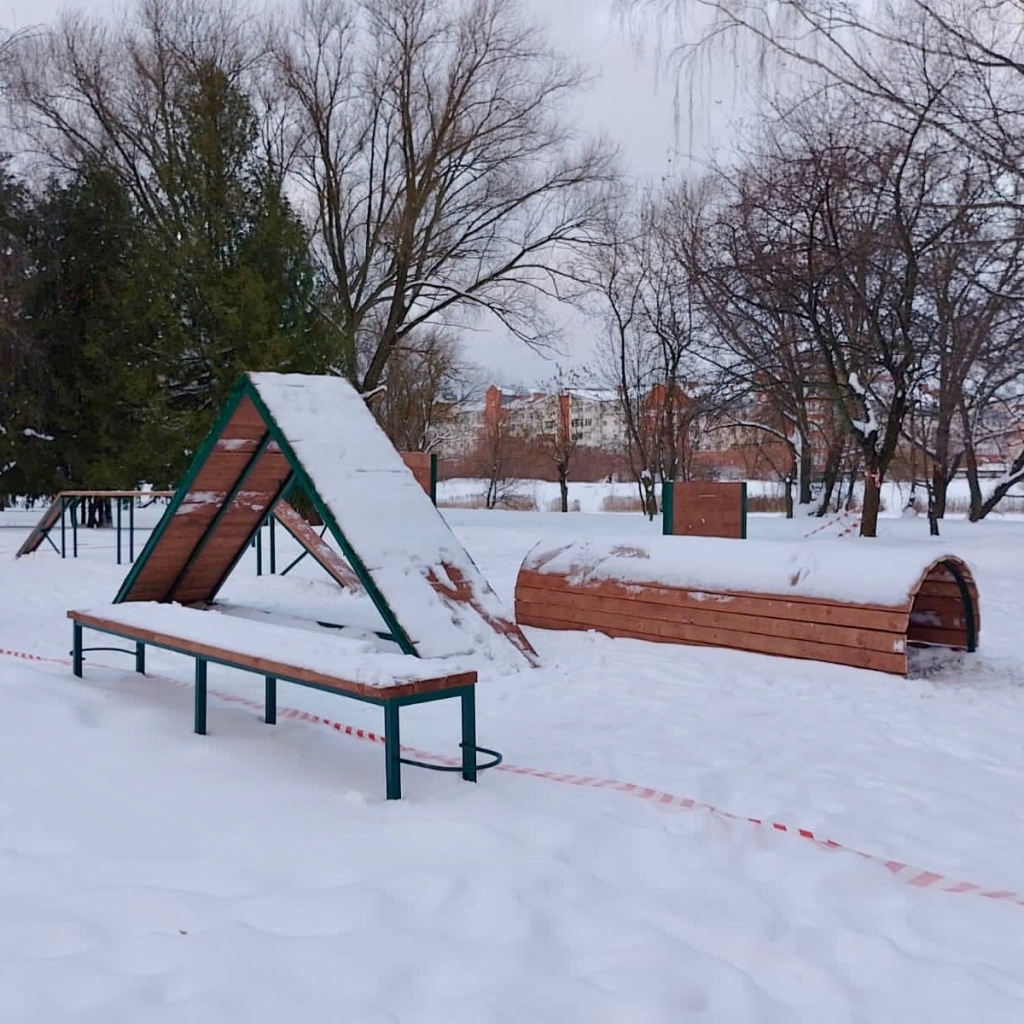 В тверском Парке Победы появилась площадка для дрессировки собак