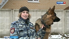 Кинологический центр МВД