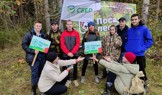 Под Тверью студенты и эковолонтеры высадили более двадцати тысяч саженцев ели