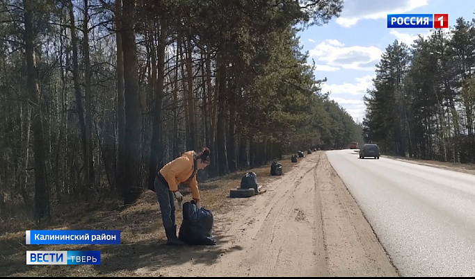 Под Тверью семья самостоятельно вычистила обочину дороги