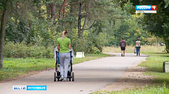 В Твери сухое дерево упало на коляску с ребенком