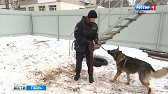 В тверском отряде особого назначения несут службу немецкие овчарки и лабрадоры