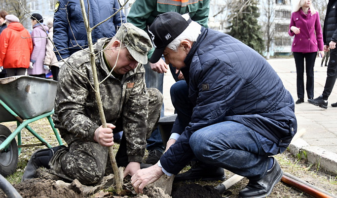 У академии ВКО в Твери заложили дубовую аллею 