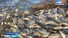 В Тверской области начали зарыблять водоемы