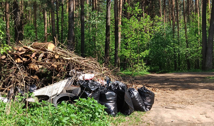 Подведены итоги очередного общегородского субботника в Твери