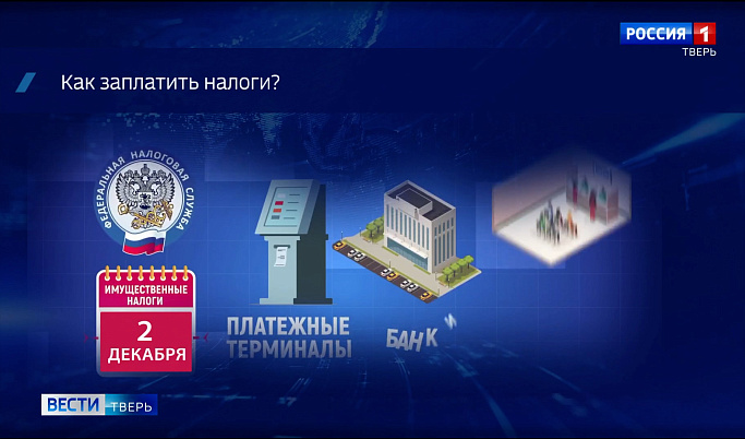 Жителям Тверской области напомнили о сроке уплаты налогов