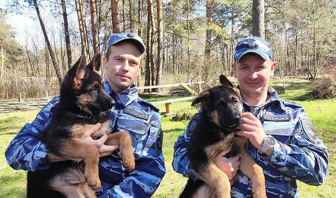 В Центре кинологической службы Тверской области пополнение