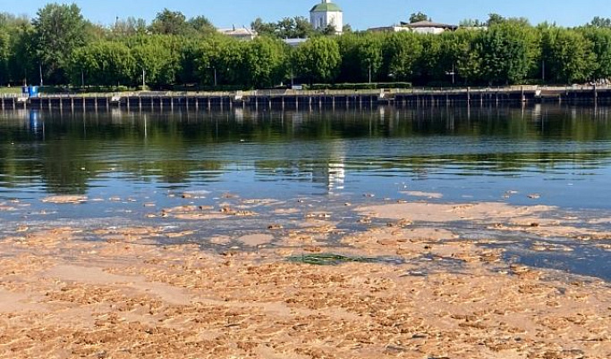 На Волге в центре Твери образовалось неизвестное пятно