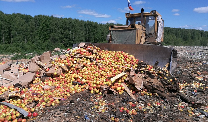 В Ржеве уничтожили 39 тонн яблок