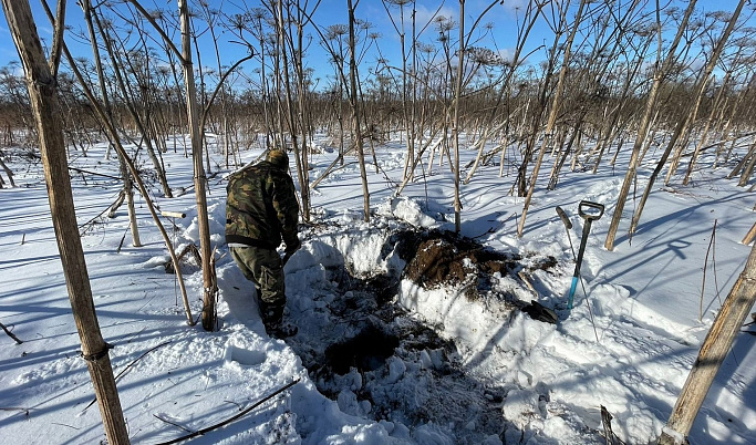 В Тверской области поисковики нашли останки двух солдат Красной армии