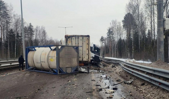 На трассе в Тверской области фура сбила водителя