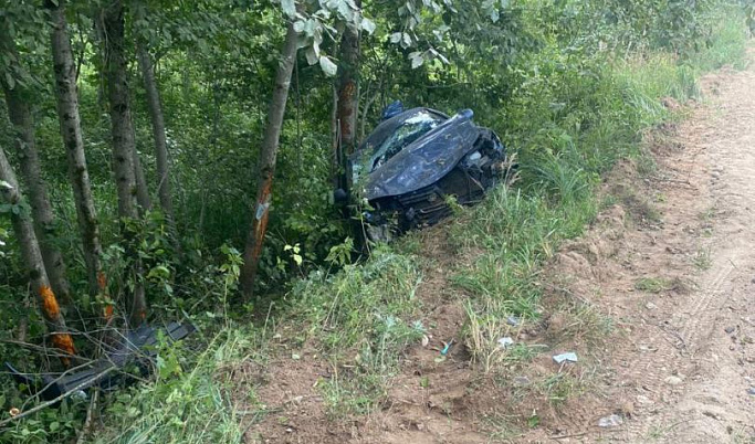 В Тверской области женщина-водитель не справилась с управлением и вылетела в кювет