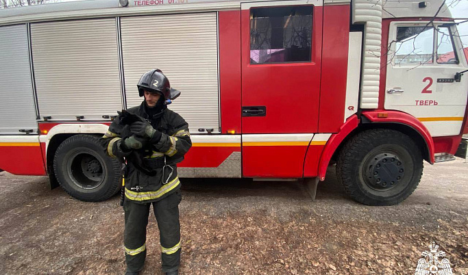 В Твери сотрудники МЧС спасли кота